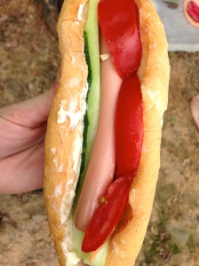 Cold hot dog for lunch- surprisingly ok
