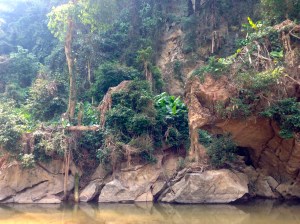 Typical sight on the jungle hike